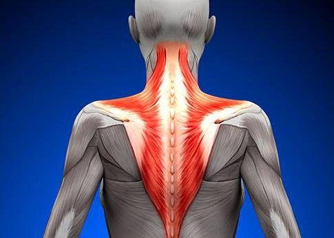 clenbuterolo prezzo: questo è ciò che fanno i professionisti