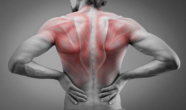 Muscolo grande dorsale