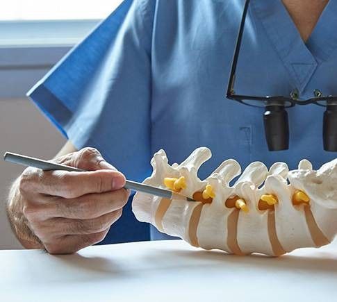 modello di colonna vertebrale